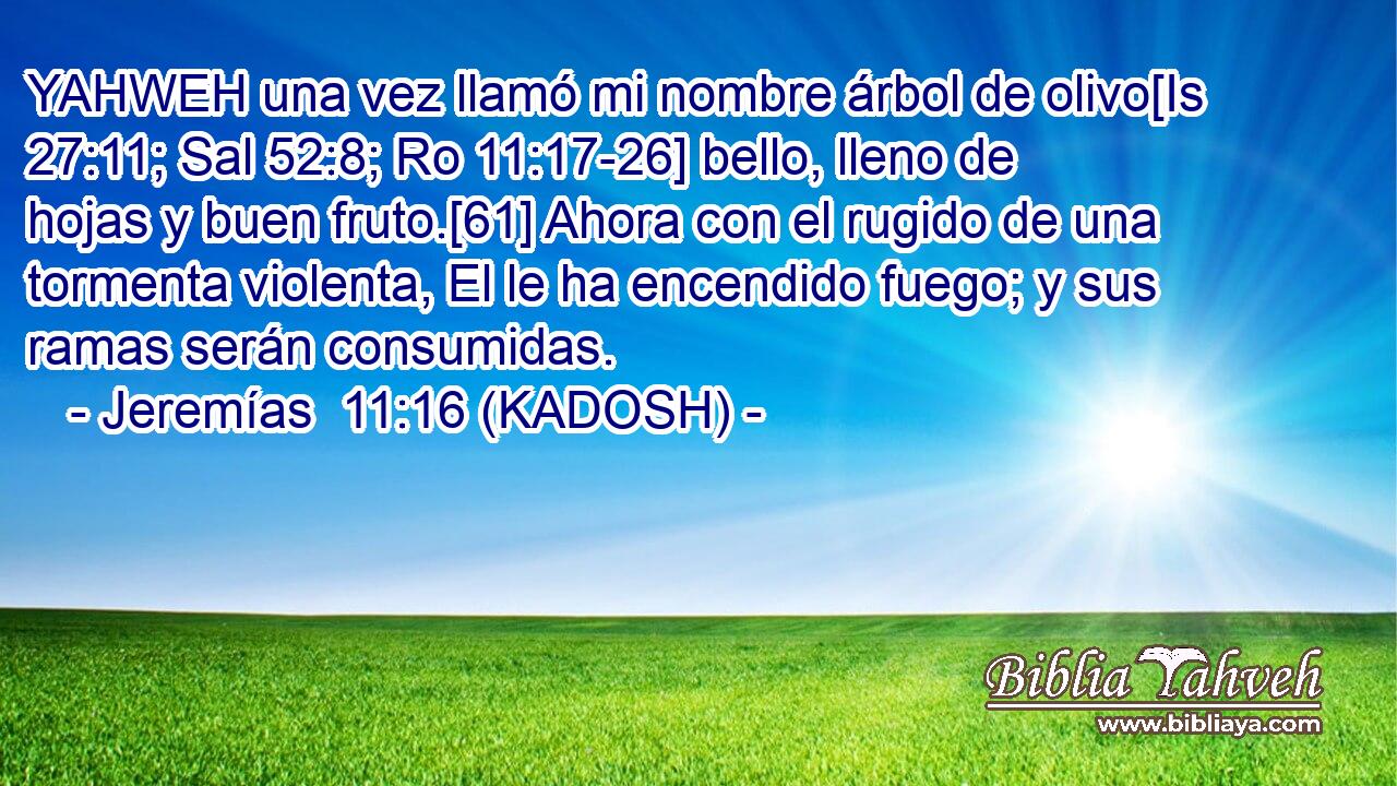  YAHWEH una vez llamó mi nombre árbol de olivo[Is 27:11; Sal 52:8; Ro 11:17-26] bello, lleno de hojas y buen fruto.[61] Ahora con el rugido de una tormenta violenta, El le ha encendido fuego; y sus ramas serán consumidas. 