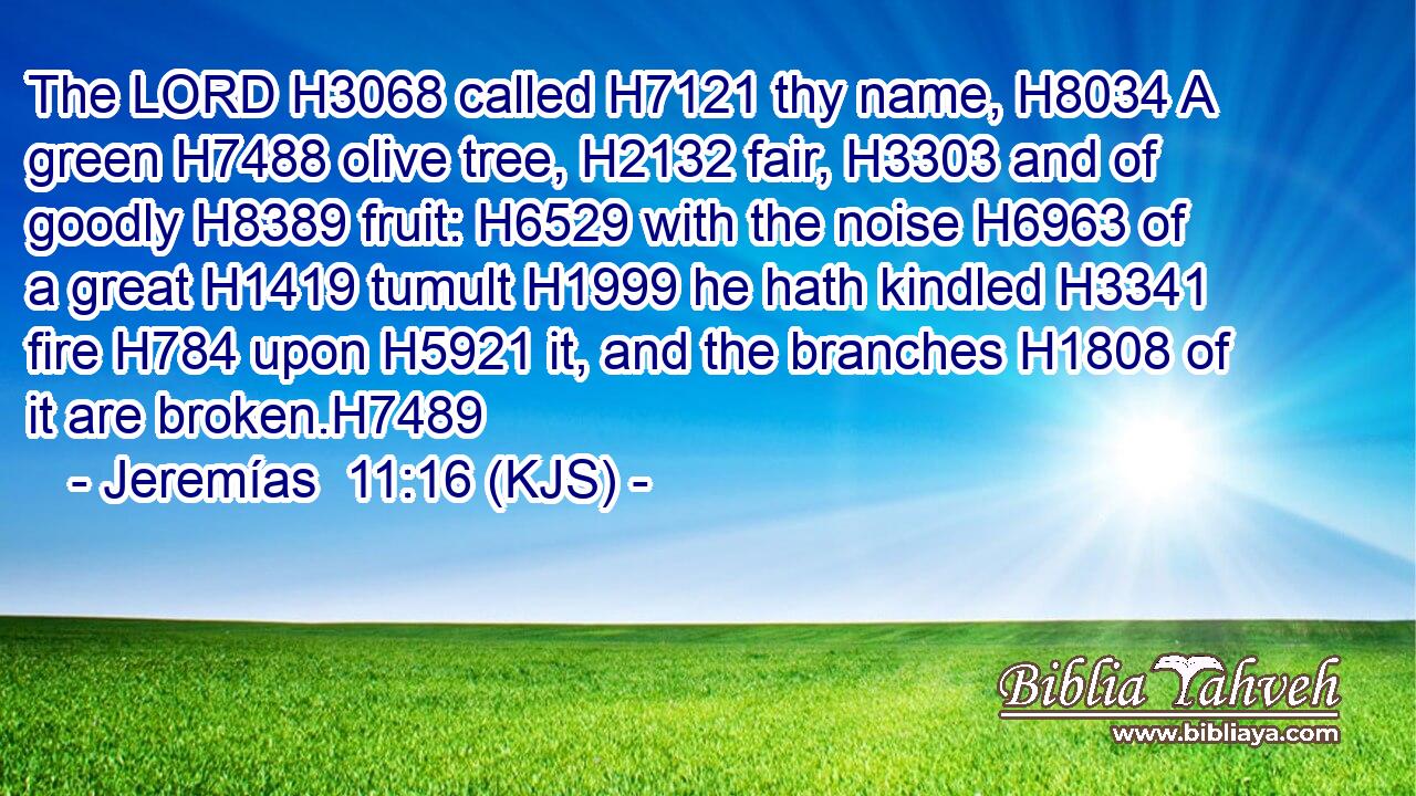 The LORD H3068 called H7121 thy name, H8034 A green H7488 olive tree, H2132 fair, H3303 and of goodly H8389 fruit: H6529 with the noise H6963 of a great H1419 tumult H1999 he hath kindled H3341 fire H784 upon H5921 it, and the branches H1808 of it are broken.H7489