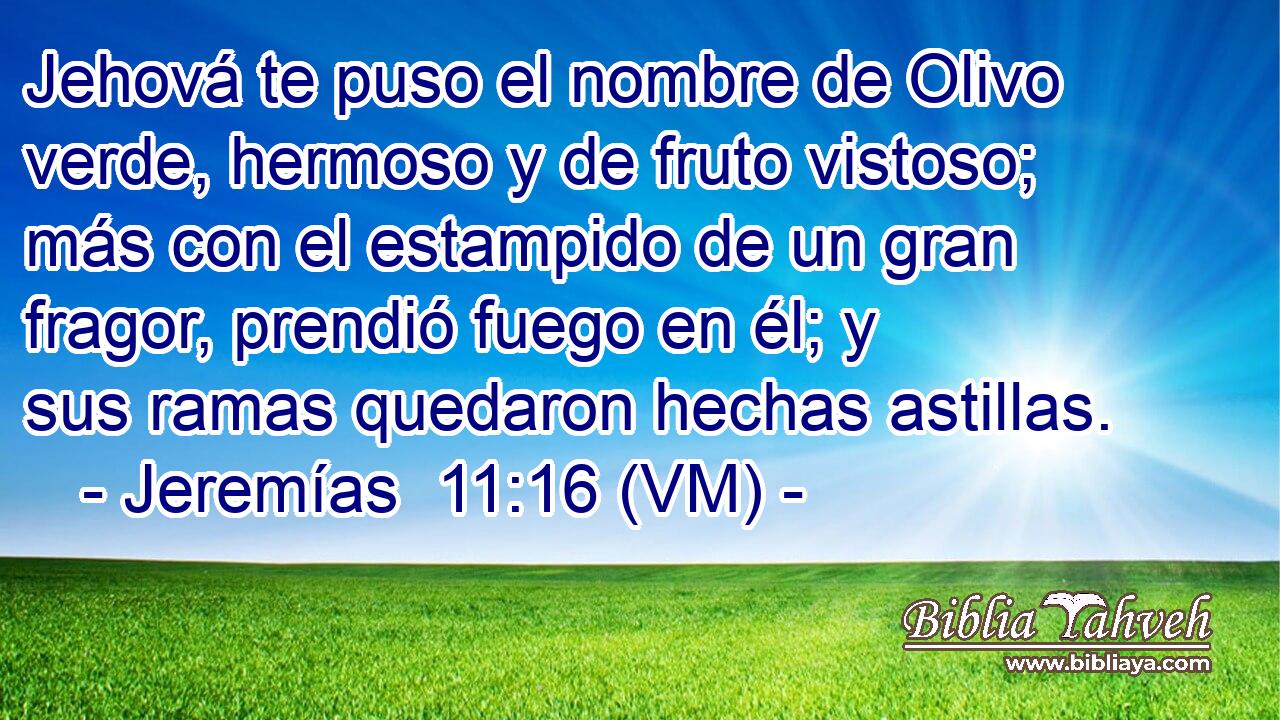  Jehová te puso el nombre de Olivo verde, hermoso y de fruto vistoso; más con el estampido de un gran fragor, prendió fuego en él; y sus ramas quedaron hechas astillas. 