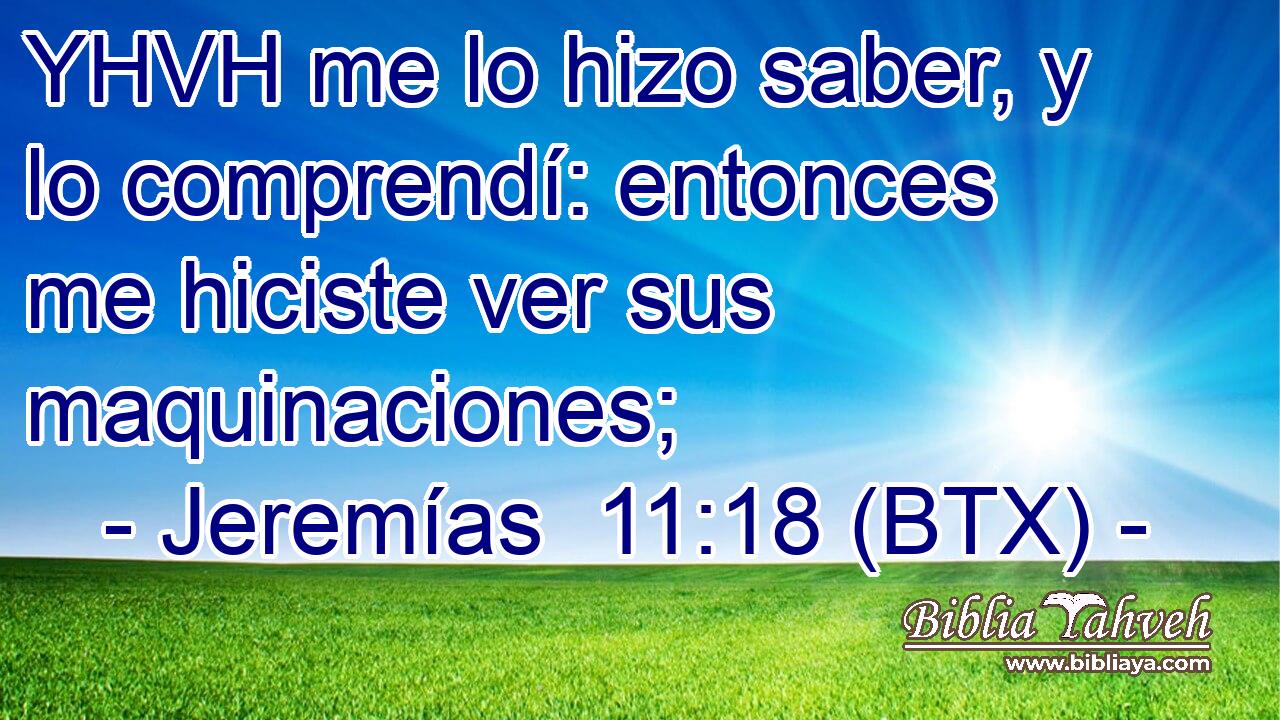 YHVH me lo hizo saber, y lo comprendí: entonces me hiciste ver sus maquinaciones;