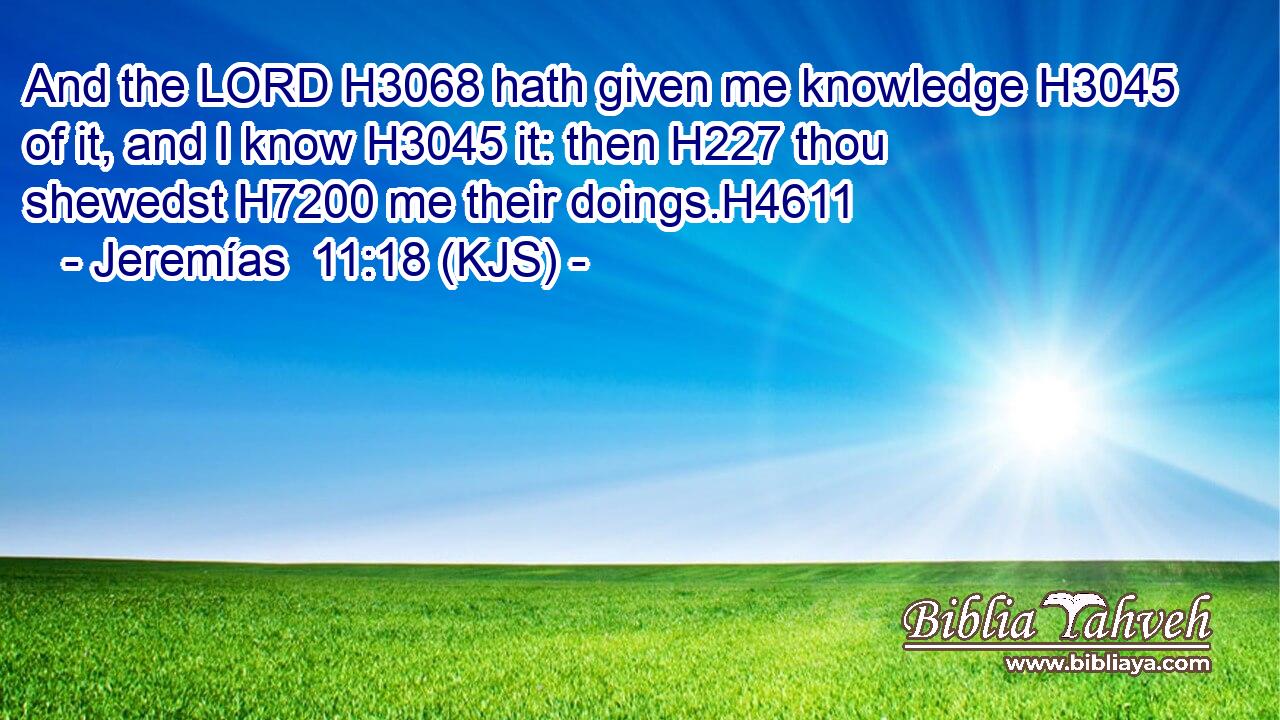 And the LORD H3068 hath given me knowledge H3045 of it, and I know H3045 it: then H227 thou shewedst H7200 me their doings.H4611