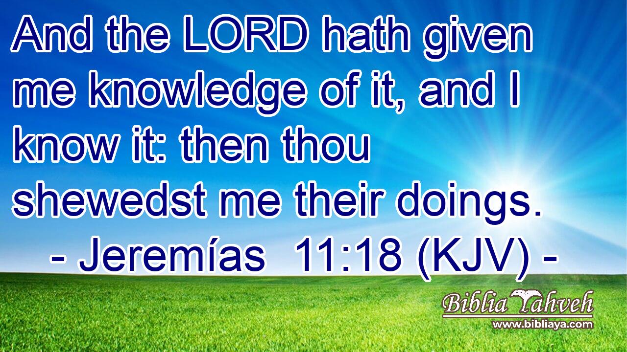 And the LORD hath given me knowledge of it, and I know it: then thou shewedst me their doings.