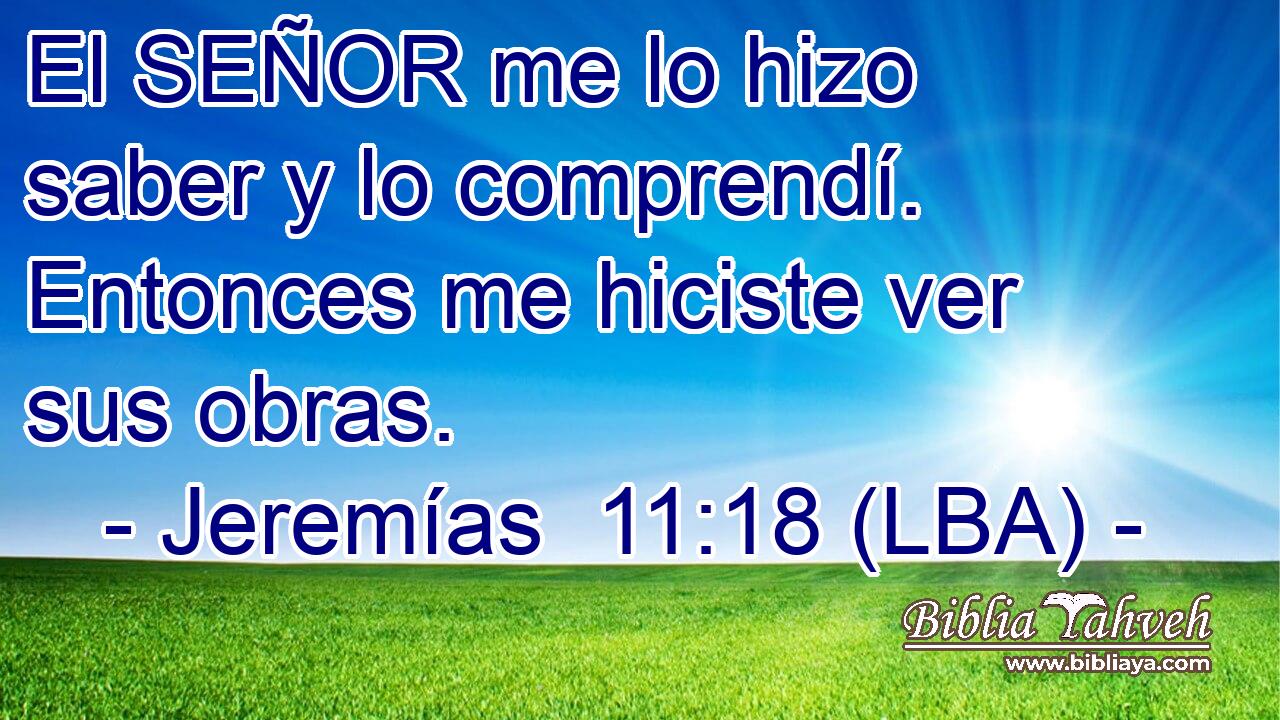 El SEÑOR me lo hizo saber y lo comprendí. Entonces me hiciste ver sus obras.
