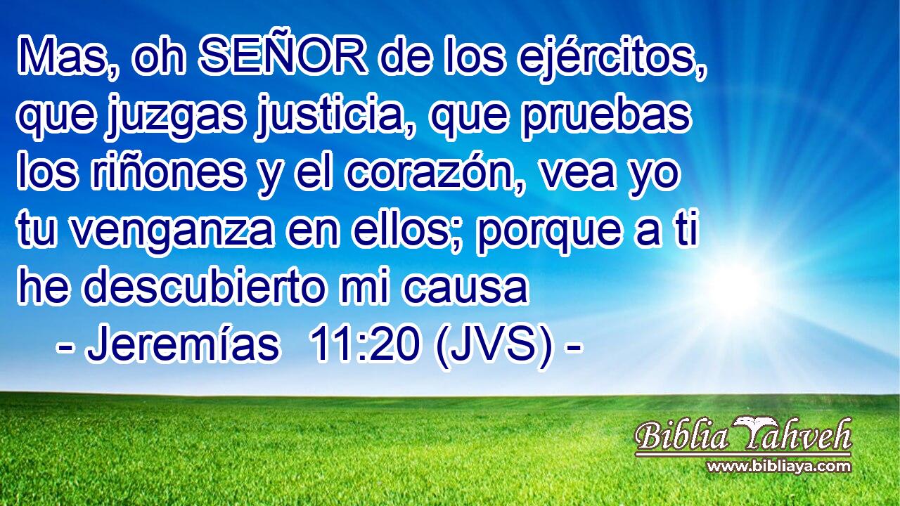 Mas, oh SEÑOR de los ejércitos, que juzgas justicia, que pruebas los riñones y el corazón, vea yo tu venganza en ellos; porque a ti he descubierto mi causa