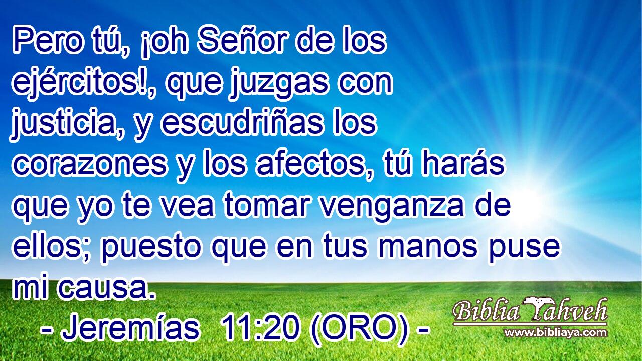  Pero tú, ¡oh Señor de los ejércitos!, que juzgas con justicia, y escudriñas los corazones y los afectos, tú harás que yo te vea tomar venganza de ellos; puesto que en tus manos puse mi causa. 