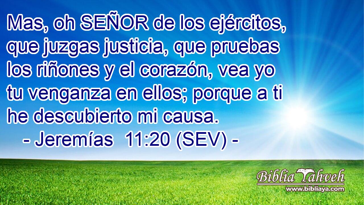 Mas, oh SEÑOR de los ejércitos, que juzgas justicia, que pruebas los riñones y el corazón, vea yo tu venganza en ellos; porque a ti he descubierto mi causa.