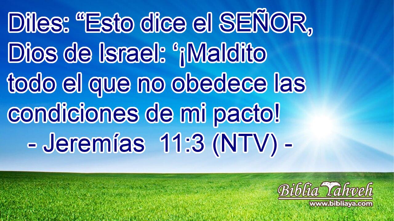 Diles: “Esto dice el SEÑOR, Dios de Israel: ‘¡Maldito todo el que no obedece las condiciones de mi pacto!