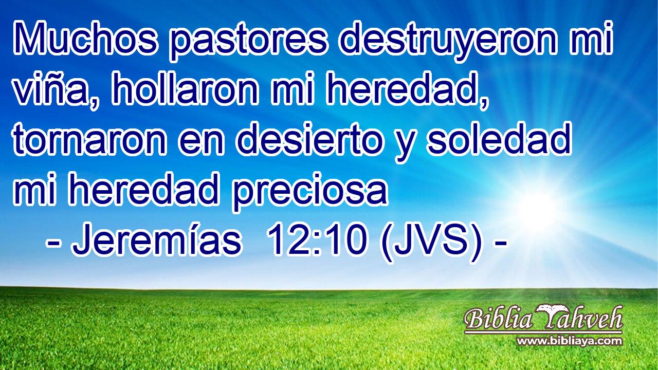 Muchos pastores destruyeron mi viña, hollaron mi heredad, tornaron en desierto y soledad mi heredad preciosa