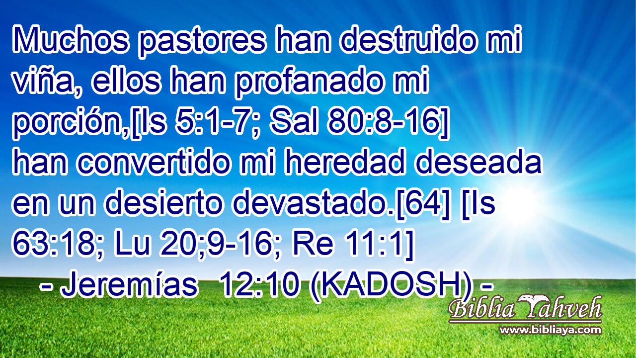  Muchos pastores han destruido mi viña, ellos han profanado mi porción,[Is 5:1-7; Sal 80:8-16] han convertido mi heredad deseada en un desierto devastado.[64] [Is 63:18; Lu 20;9-16; Re 11:1] 