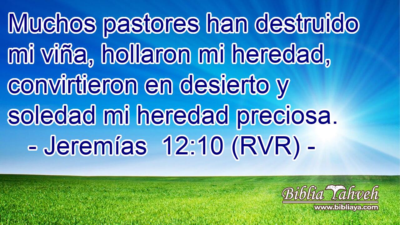 Muchos pastores han destruido mi viña, hollaron mi heredad, convirtieron en desierto y soledad mi heredad preciosa.