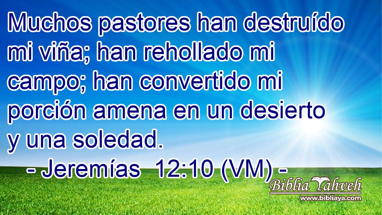  Muchos pastores han destruído mi viña; han rehollado mi campo; han convertido mi porción amena en un desierto y una soledad. 