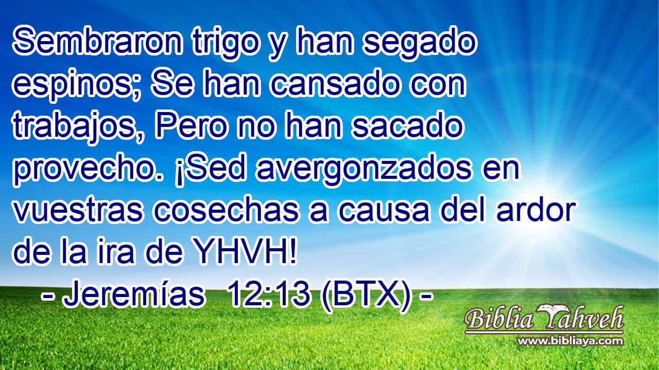Sembraron trigo y han segado espinos; Se han cansado con trabajos, Pero no han sacado provecho. ¡Sed avergonzados en vuestras cosechas a causa del ardor de la ira de YHVH!