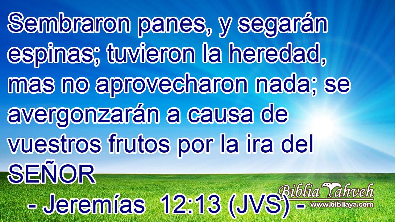 Sembraron panes, y segarán espinas; tuvieron la heredad, mas no aprovecharon nada; se avergonzarán a causa de vuestros frutos por la ira del SEÑOR