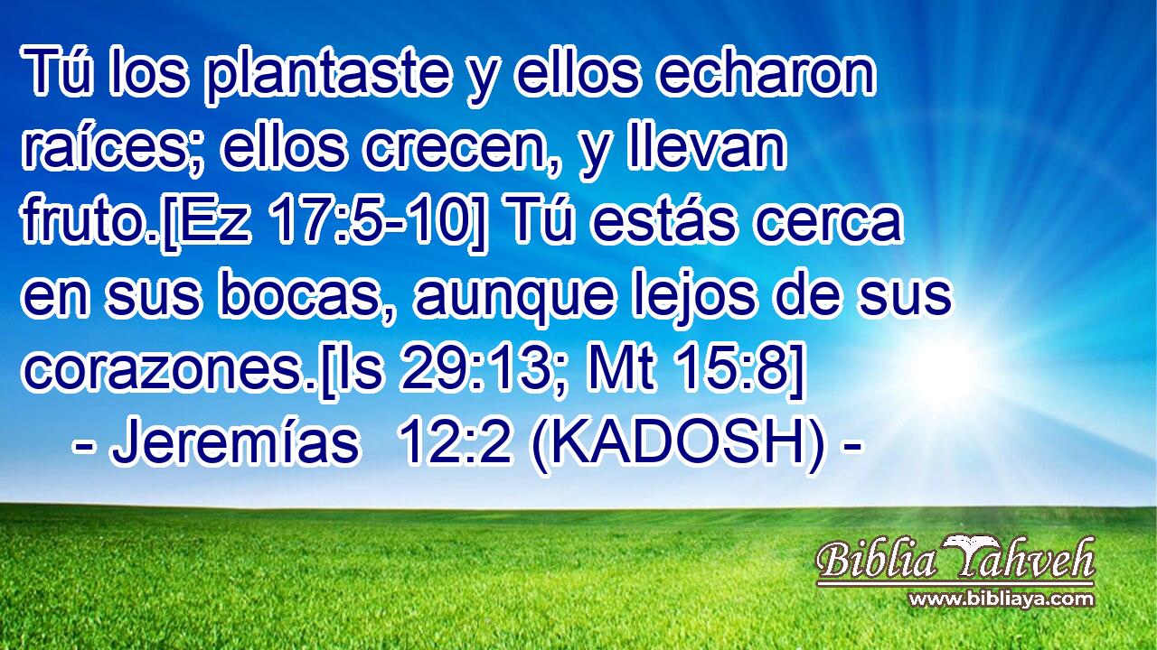  Tú los plantaste y ellos echaron raíces; ellos crecen, y llevan fruto.[Ez 17:5-10] Tú estás cerca en sus bocas, aunque lejos de sus corazones.[Is 29:13; Mt 15:8] 