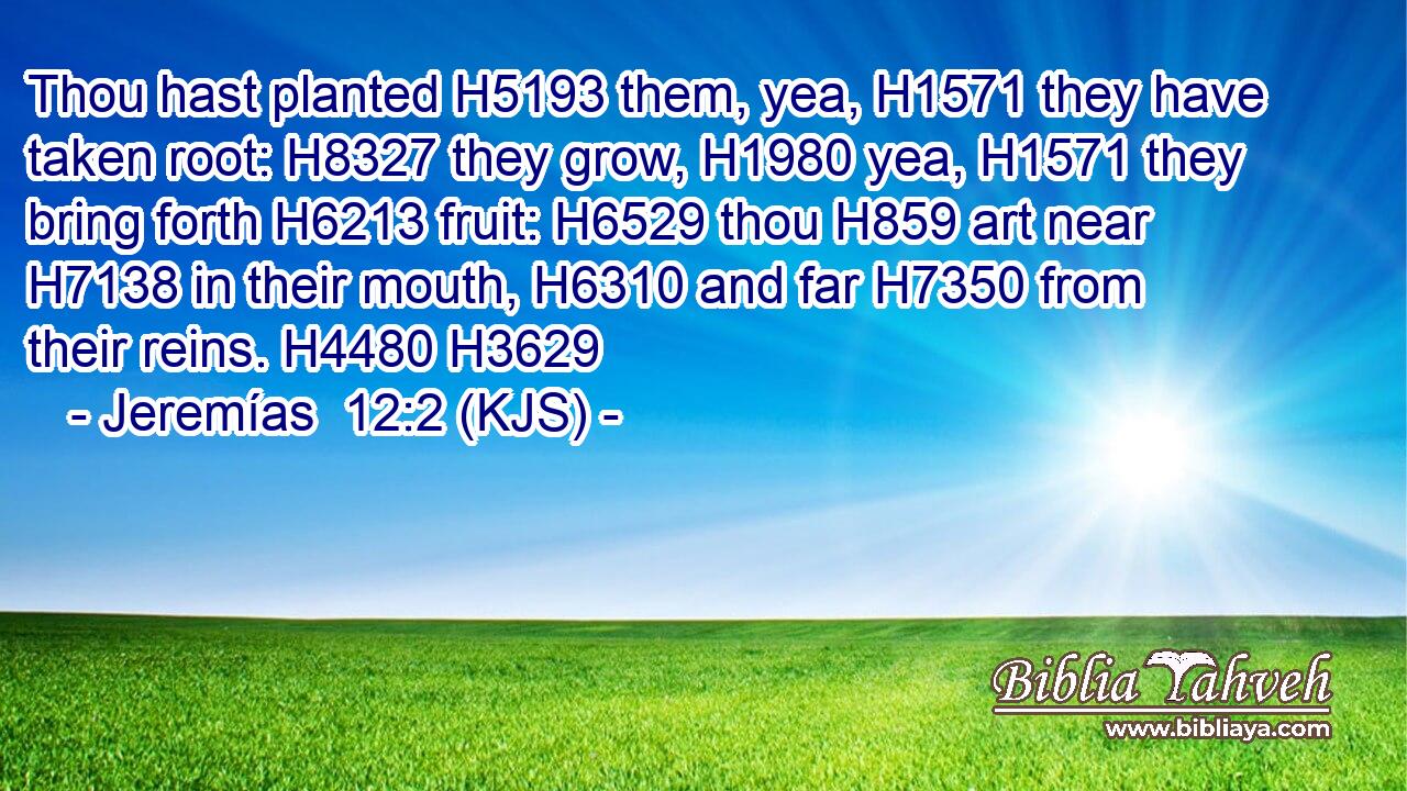 Thou hast planted H5193 them, yea, H1571 they have taken root: H8327 they grow, H1980 yea, H1571 they bring forth H6213 fruit: H6529 thou H859 art near H7138 in their mouth, H6310 and far H7350 from their reins. H4480 H3629