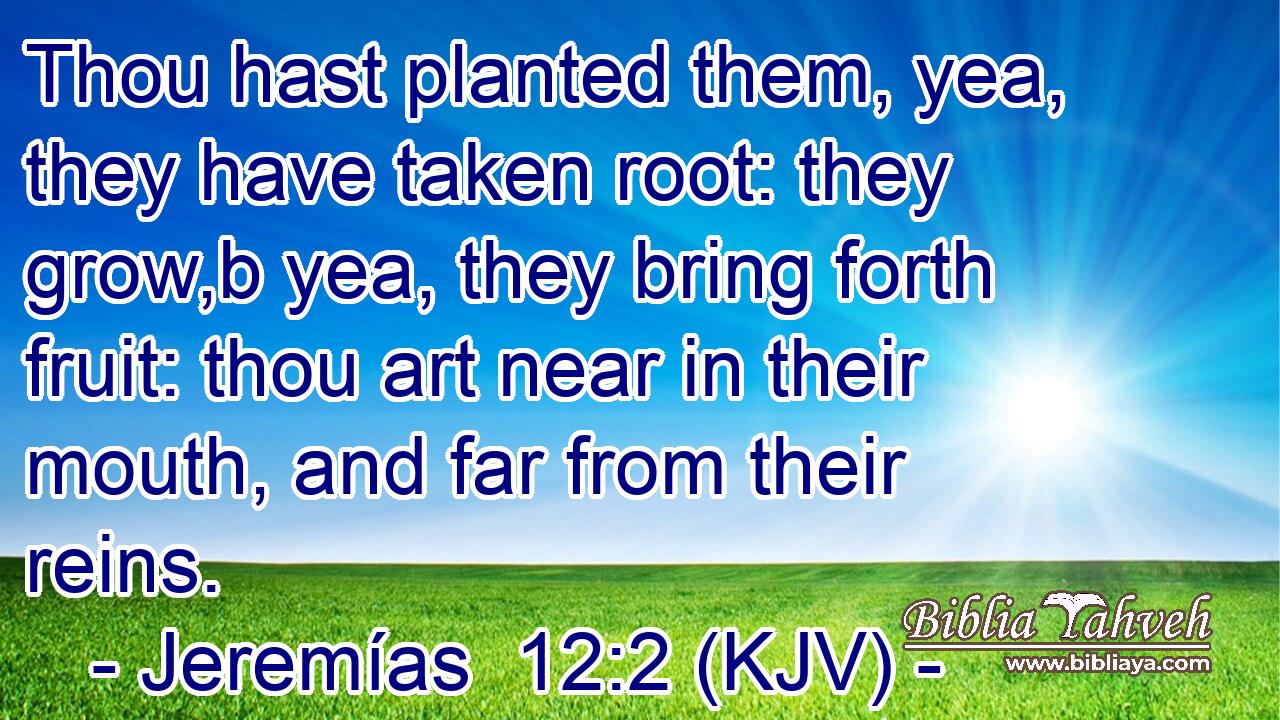 Thou hast planted them, yea, they have taken root: they grow,b yea, they bring forth fruit: thou art near in their mouth, and far from their reins.