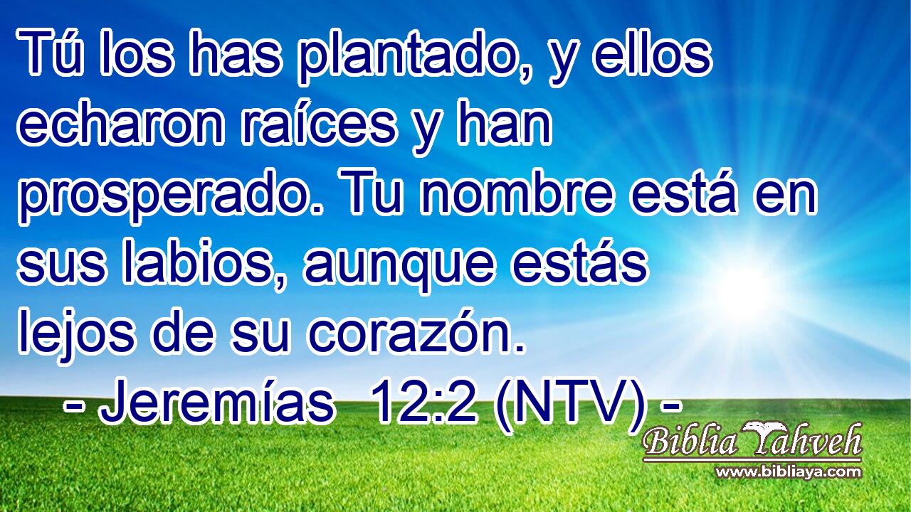 Tú los has plantado, y ellos echaron raíces y han prosperado. Tu nombre está en sus labios, aunque estás lejos de su corazón.