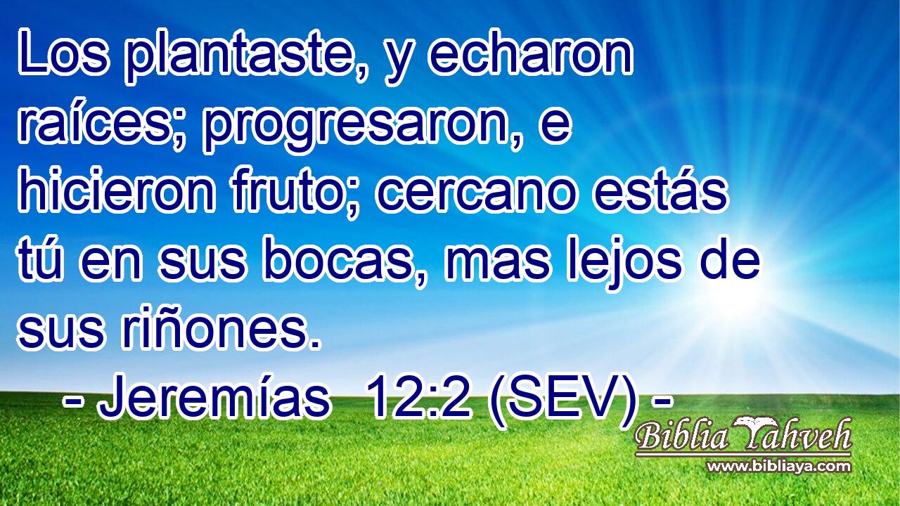 Los plantaste, y echaron raíces; progresaron, e hicieron fruto; cercano estás tú en sus bocas, mas lejos de sus riñones.