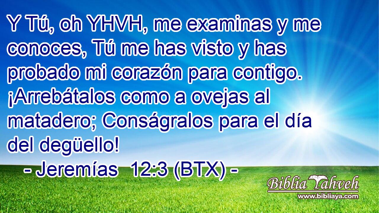 Y Tú, oh YHVH, me examinas y me conoces, Tú me has visto y has probado mi corazón para contigo. ¡Arrebátalos como a ovejas al matadero; Conságralos para el día del degüello!