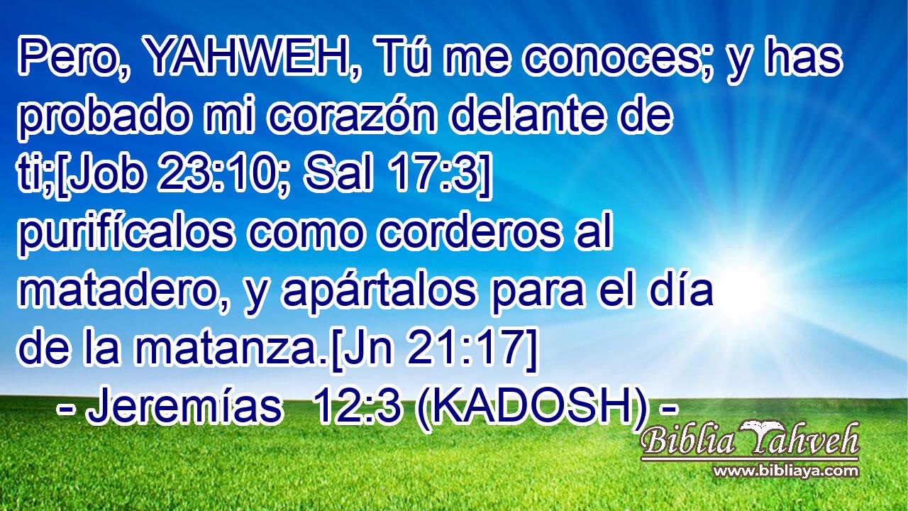  Pero, YAHWEH, Tú me conoces; y has probado mi corazón delante de ti;[Job 23:10; Sal 17:3] purifícalos como corderos al matadero, y apártalos para el día de la matanza.[Jn 21:17] 