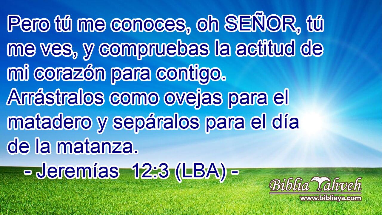Pero tú me conoces, oh SEÑOR, tú me ves, y compruebas la actitud de mi corazón para contigo. Arrástralos como ovejas para el matadero y sepáralos para el día de la matanza.