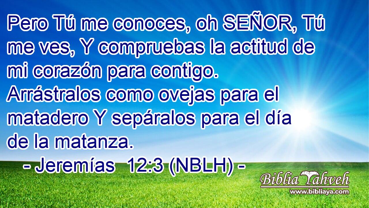  Pero Tú me conoces, oh SEÑOR, Tú me ves, Y compruebas la actitud de mi corazón para contigo. Arrástralos como ovejas para el matadero Y sepáralos para el día de la matanza. 