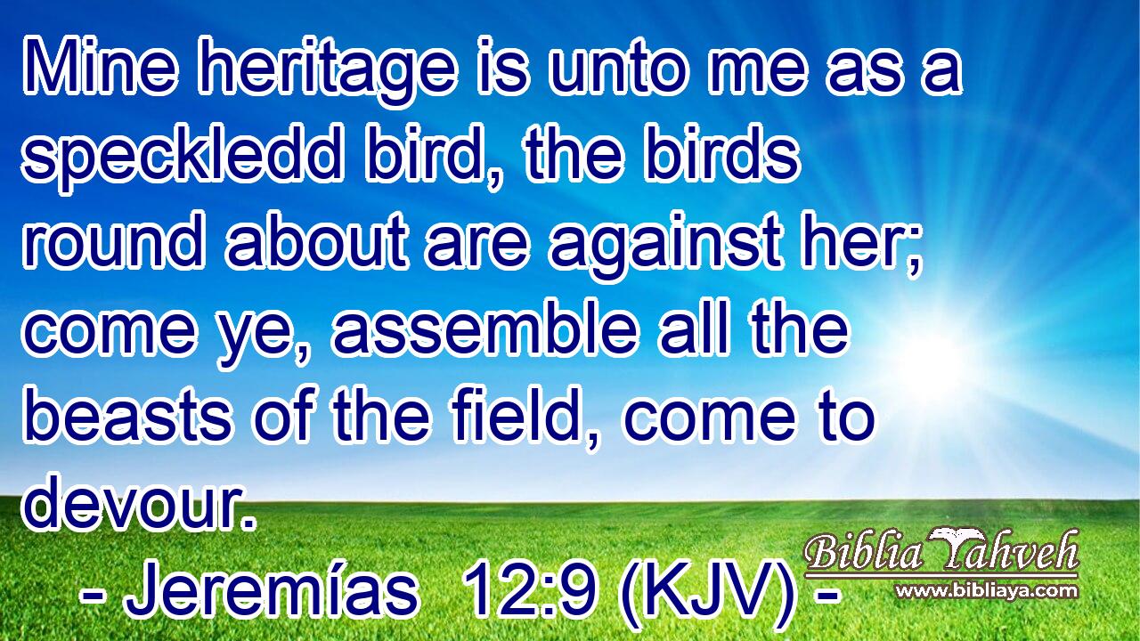 Mine heritage is unto me as a speckledd bird, the birds round about are against her; come ye, assemble all the beasts of the field, come to devour.