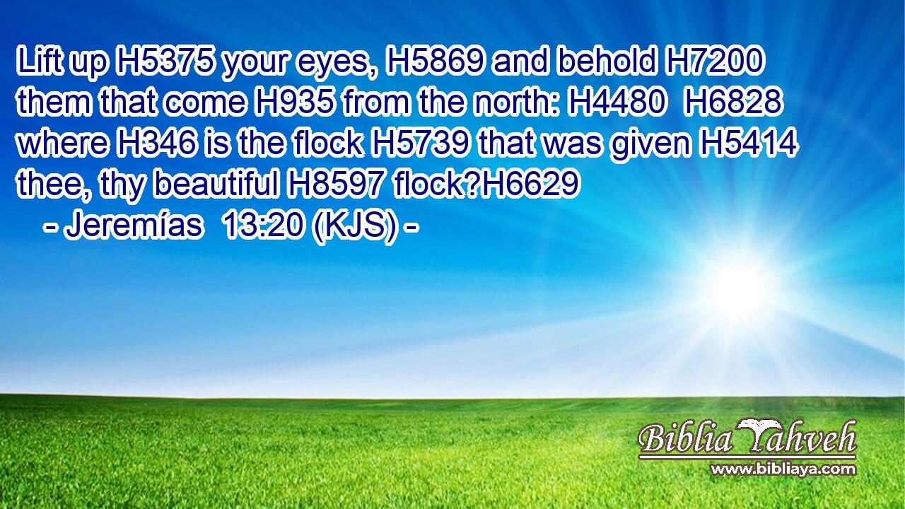 Lift up H5375 your eyes, H5869 and behold H7200 them that come H935 from the north: H4480  H6828 where H346 is the flock H5739 that was given H5414 thee, thy beautiful H8597 flock?H6629
