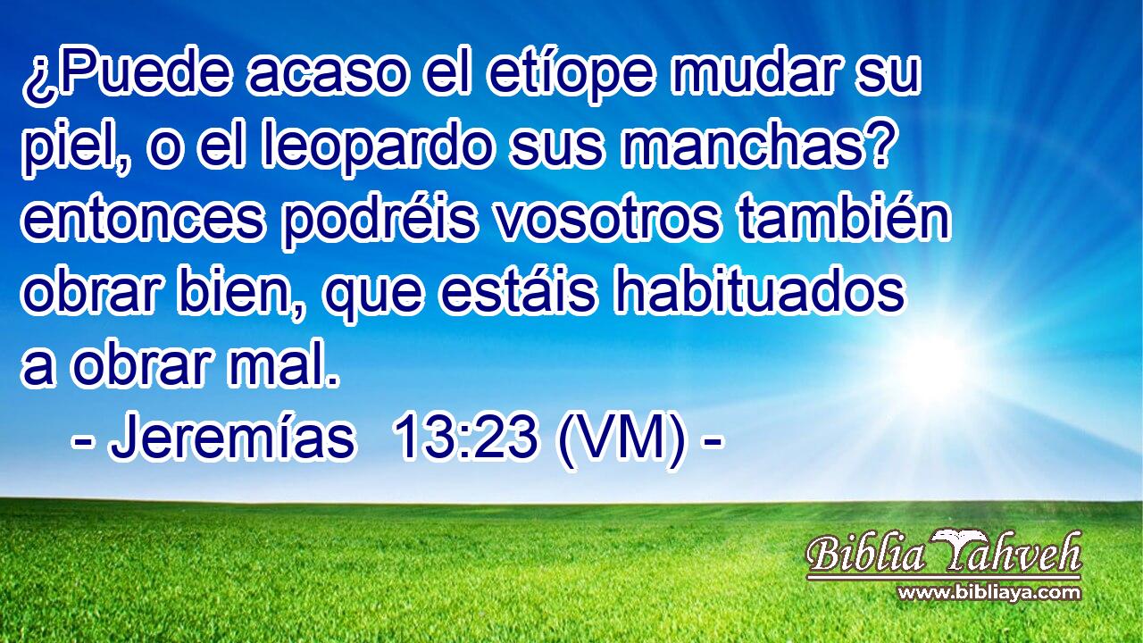  ¿Puede acaso el etíope mudar su piel, o el leopardo sus manchas? entonces podréis vosotros también obrar bien, que estáis habituados a obrar mal. 