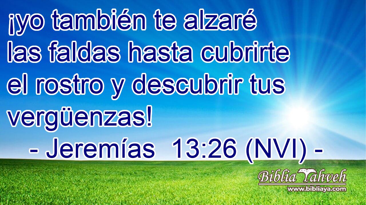  ¡yo también te alzaré las faldas hasta cubrirte el rostro y descubrir tus vergüenzas! 