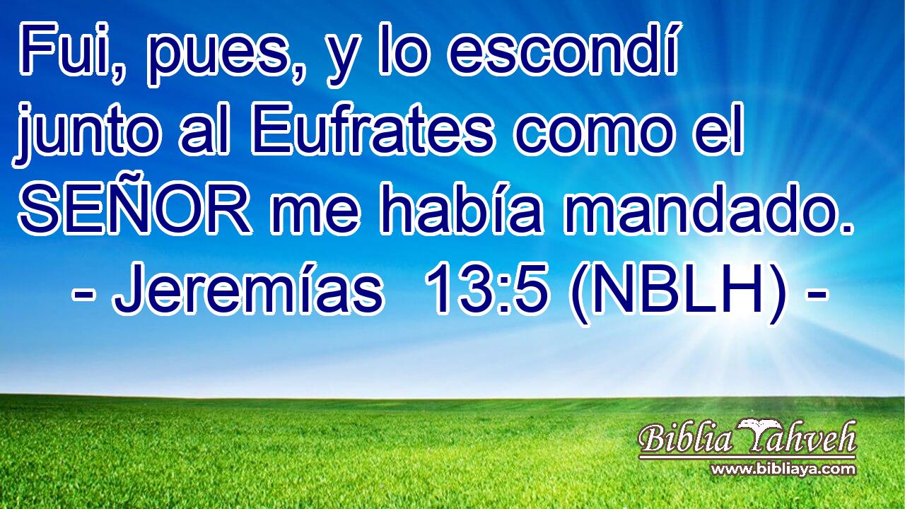  Fui, pues, y lo escondí junto al Eufrates como el SEÑOR me había mandado. 