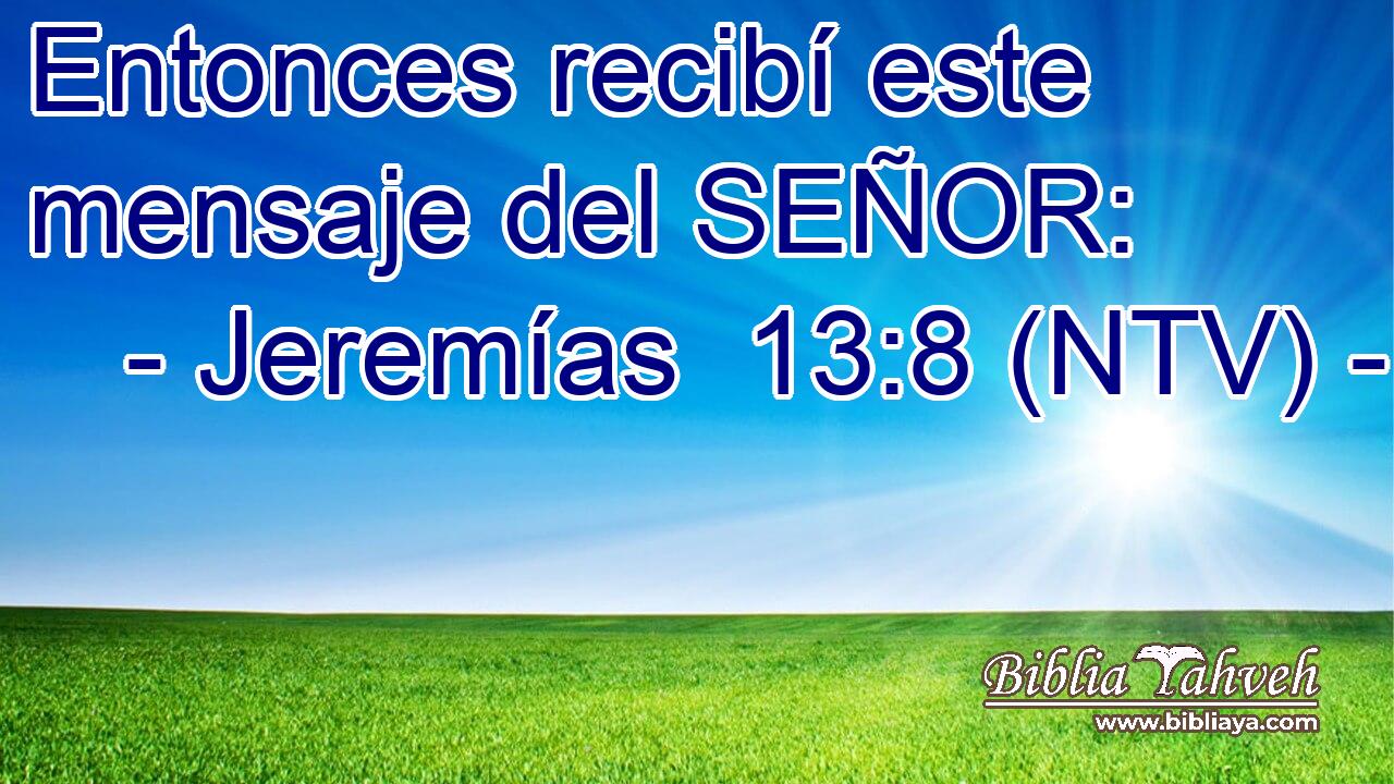 Entonces recibí este mensaje del SEÑOR: