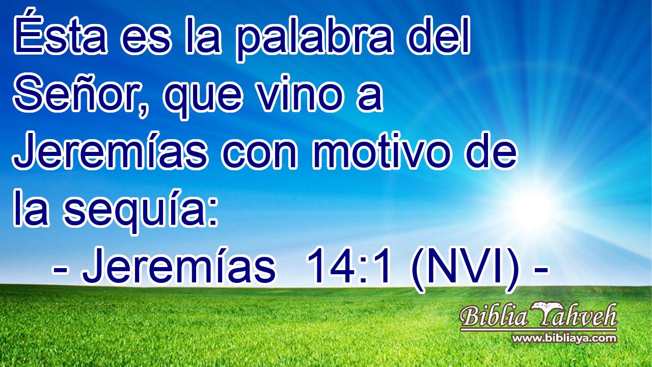  Ésta es la palabra del Señor, que vino a Jeremías con motivo de la sequía: 