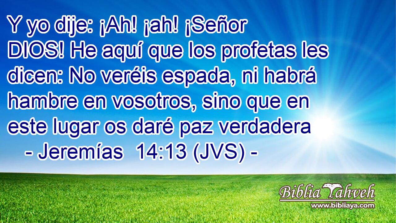 Y yo dije: ¡Ah! ¡ah! ¡Señor DIOS! He aquí que los profetas les dicen: No veréis espada, ni habrá hambre en vosotros, sino que en este lugar os daré paz verdadera