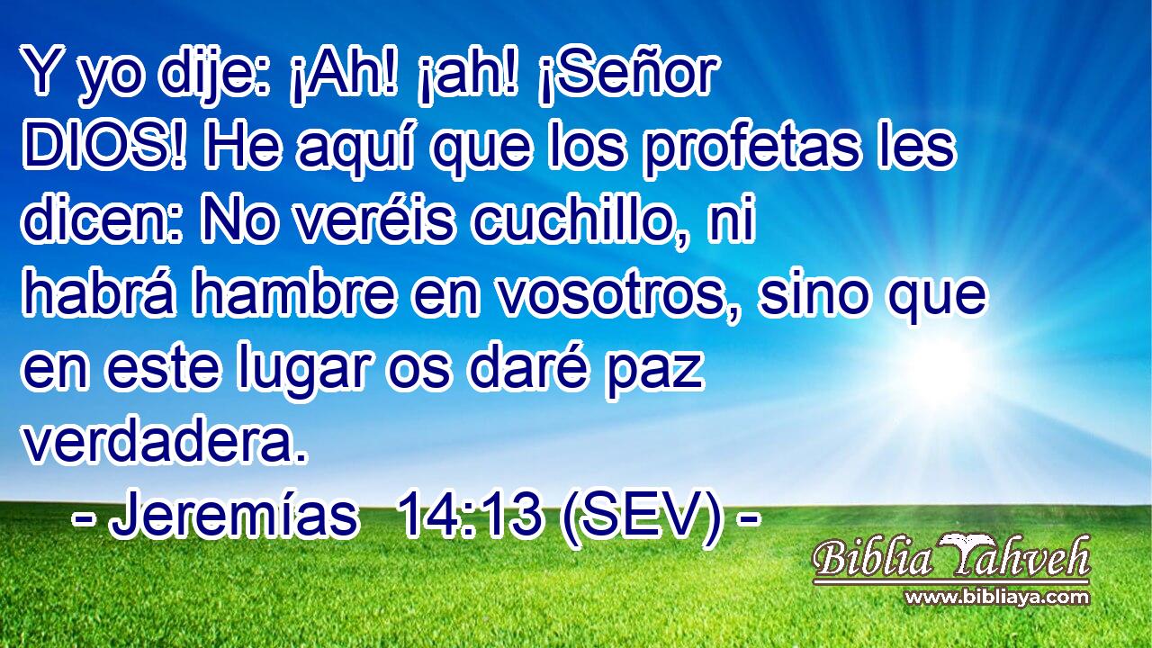 Y yo dije: ¡Ah! ¡ah! ¡Señor DIOS! He aquí que los profetas les dicen: No veréis cuchillo, ni habrá hambre en vosotros, sino que en este lugar os daré paz verdadera.