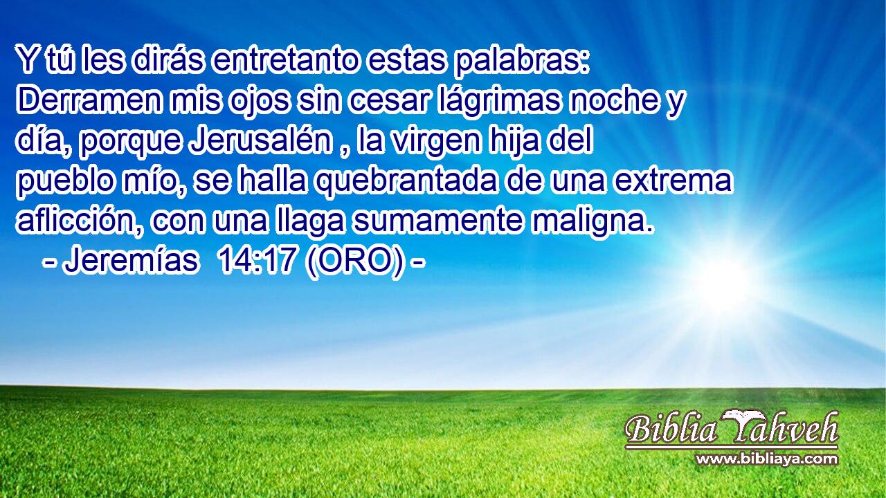  Y tú les dirás entretanto estas palabras: Derramen mis ojos sin cesar lágrimas noche y día, porque Jerusalén , la virgen hija del pueblo mío, se halla quebrantada de una extrema aflicción, con una llaga sumamente maligna. 