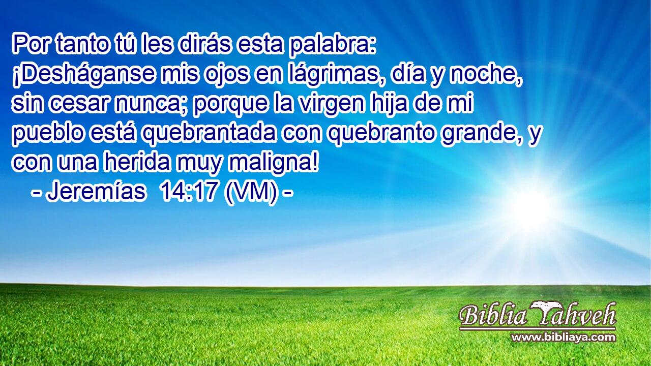  Por tanto tú les dirás esta palabra: ¡Desháganse mis ojos en lágrimas, día y noche, sin cesar nunca; porque la virgen hija de mi pueblo está quebrantada con quebranto grande, y con una herida muy maligna! 