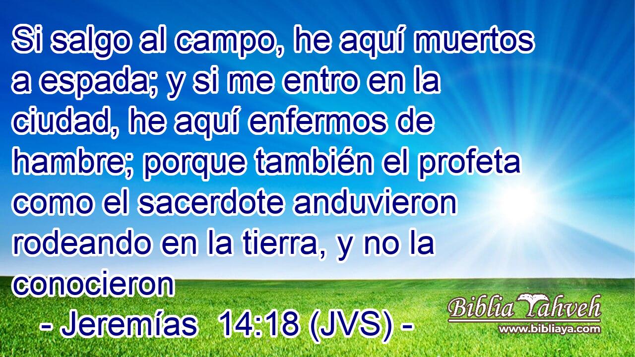Si salgo al campo, he aquí muertos a espada; y si me entro en la ciudad, he aquí enfermos de hambre; porque también el profeta como el sacerdote anduvieron rodeando en la tierra, y no la conocieron