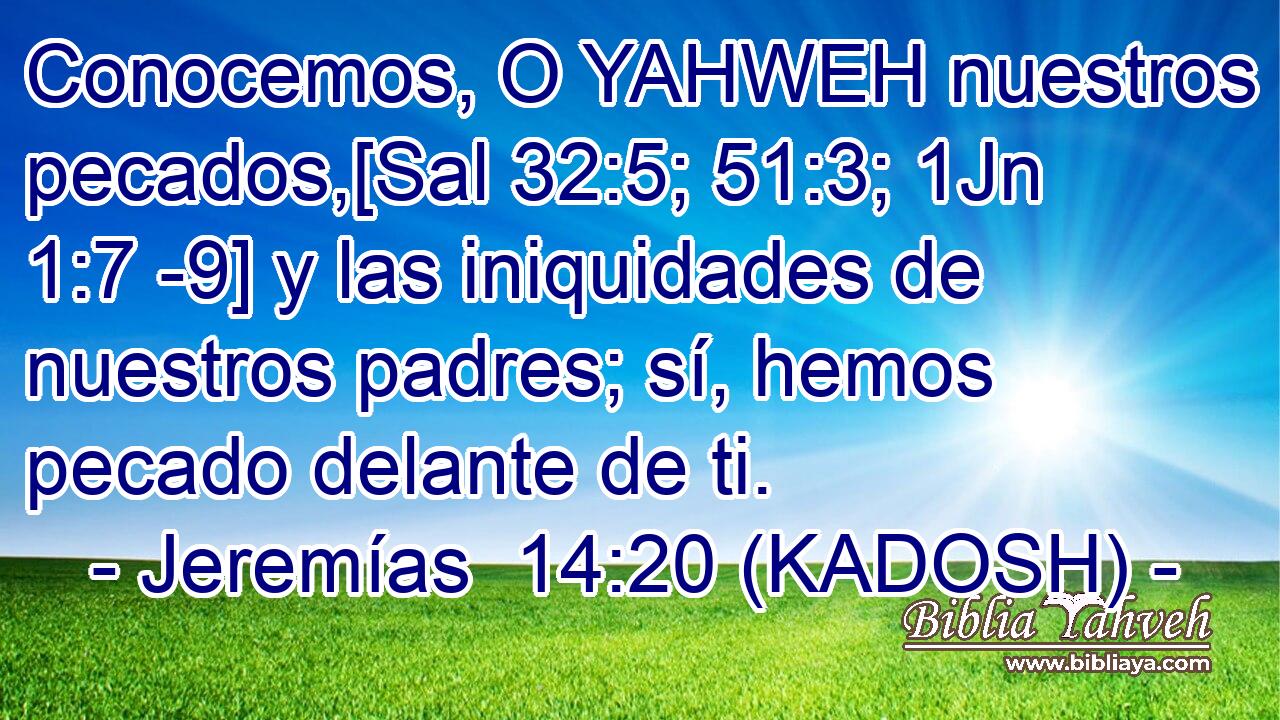  Conocemos, O YAHWEH nuestros pecados,[Sal 32:5; 51:3; 1Jn 1:7 -9] y las iniquidades de nuestros padres; sí, hemos pecado delante de ti. 