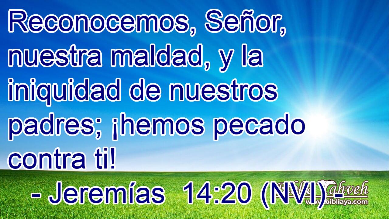  Reconocemos, Señor, nuestra maldad, y la iniquidad de nuestros padres; ¡hemos pecado contra ti! 