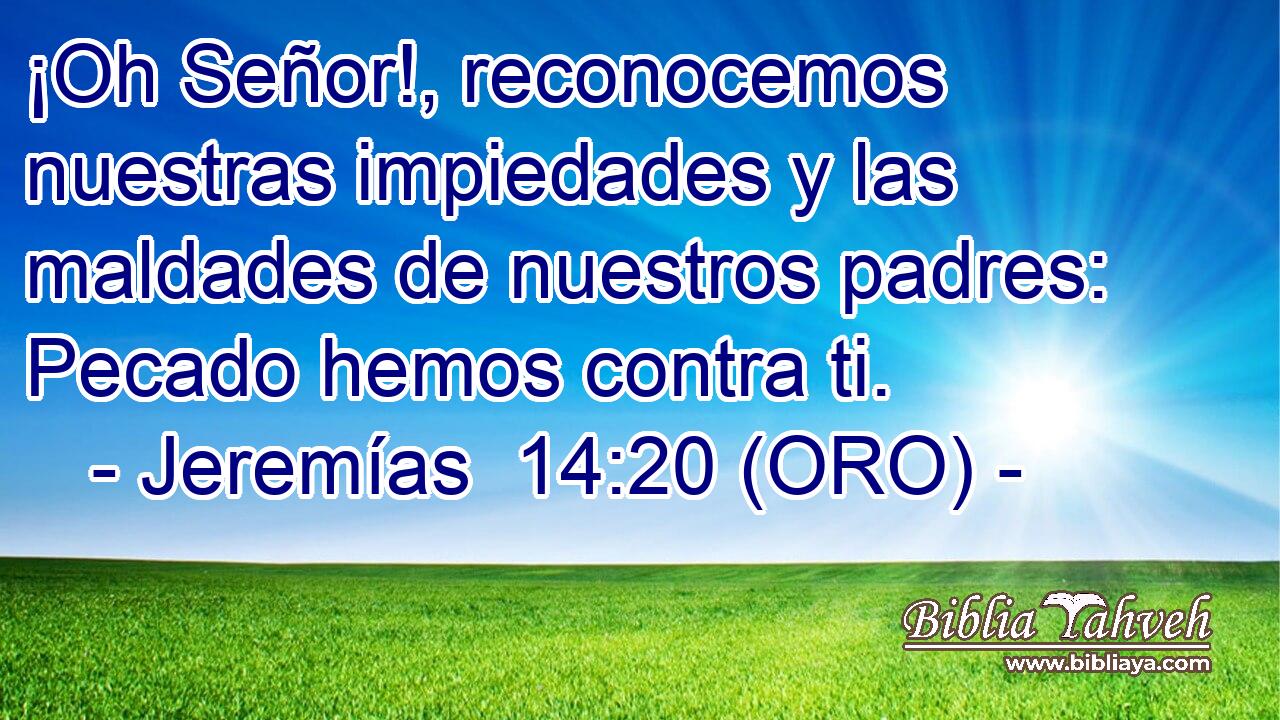  ¡Oh Señor!, reconocemos nuestras impiedades y las maldades de nuestros padres: Pecado hemos contra ti. 