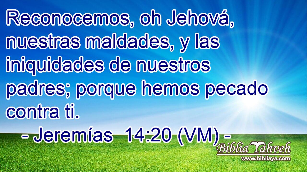  Reconocemos, oh Jehová, nuestras maldades, y las iniquidades de nuestros padres; porque hemos pecado contra ti. 