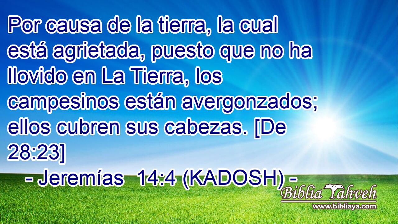  Por causa de la tierra, la cual está agrietada, puesto que no ha llovido en La Tierra, los campesinos están avergonzados; ellos cubren sus cabezas. [De 28:23] 
