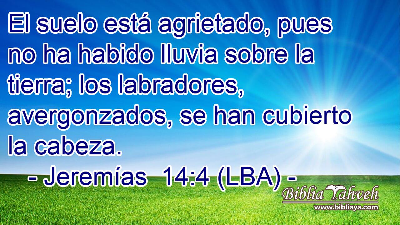 El suelo está agrietado, pues no ha habido lluvia sobre la tierra; los labradores, avergonzados, se han cubierto la cabeza.