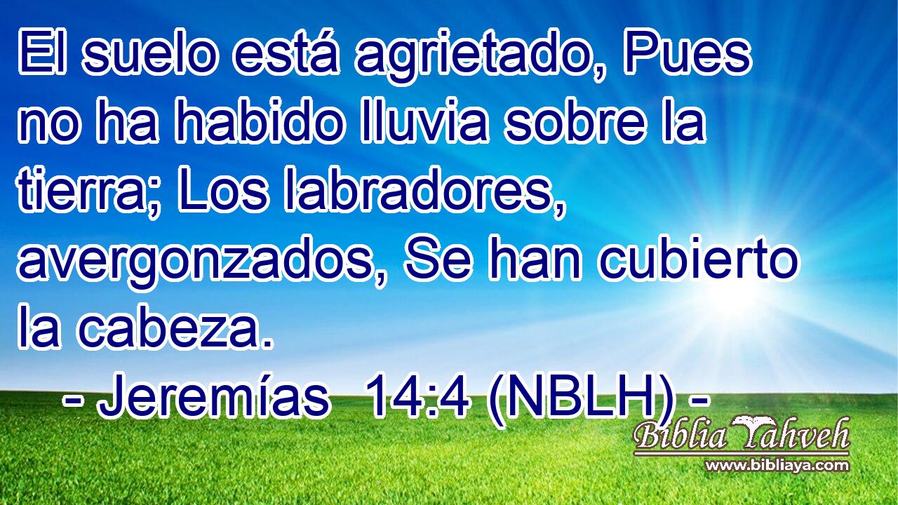  El suelo está agrietado, Pues no ha habido lluvia sobre la tierra; Los labradores, avergonzados, Se han cubierto la cabeza. 