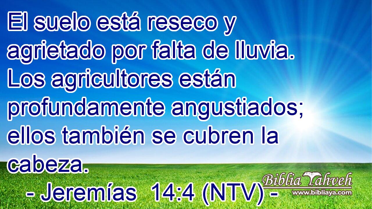 El suelo está reseco y agrietado por falta de lluvia. Los agricultores están profundamente angustiados; ellos también se cubren la cabeza.