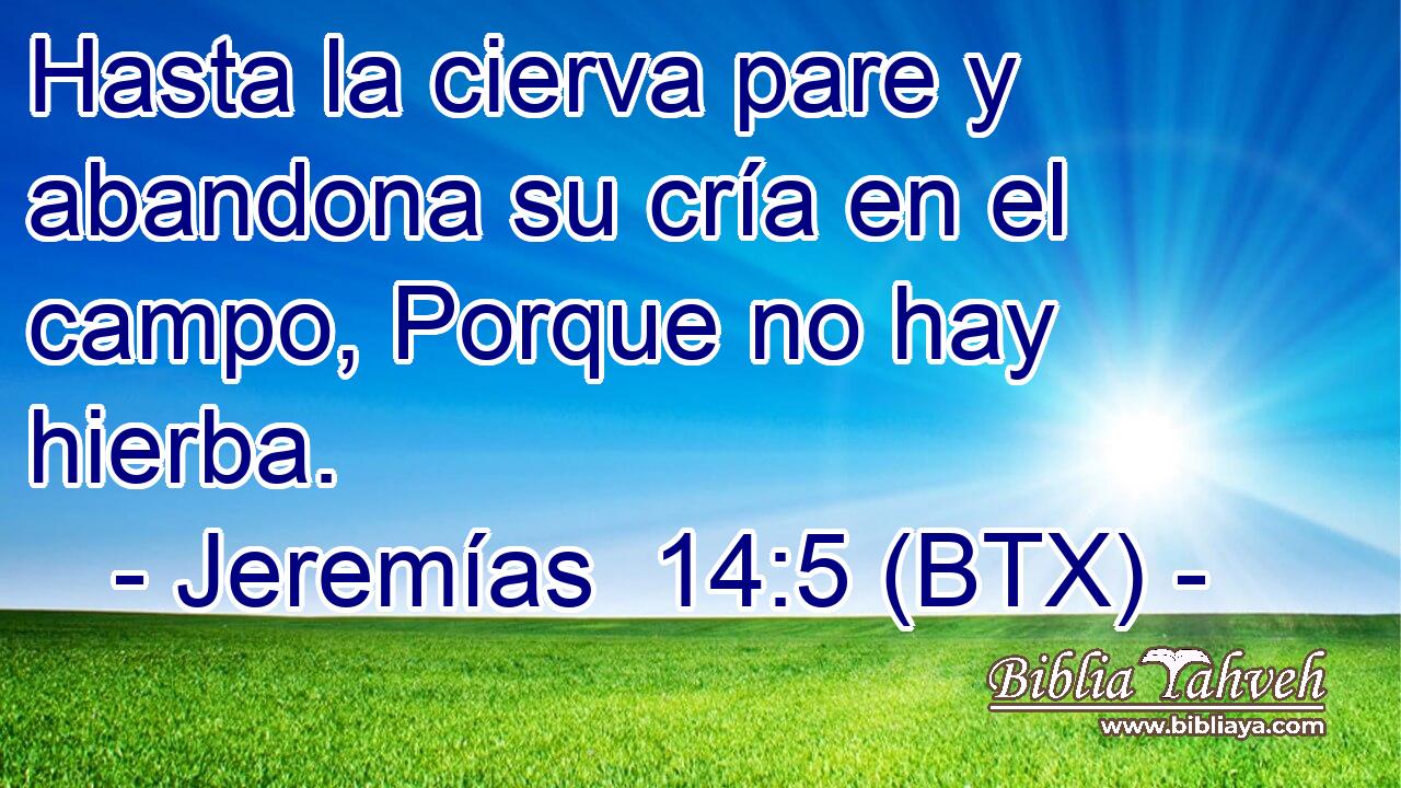 Hasta la cierva pare y abandona su cría en el campo, Porque no hay hierba.