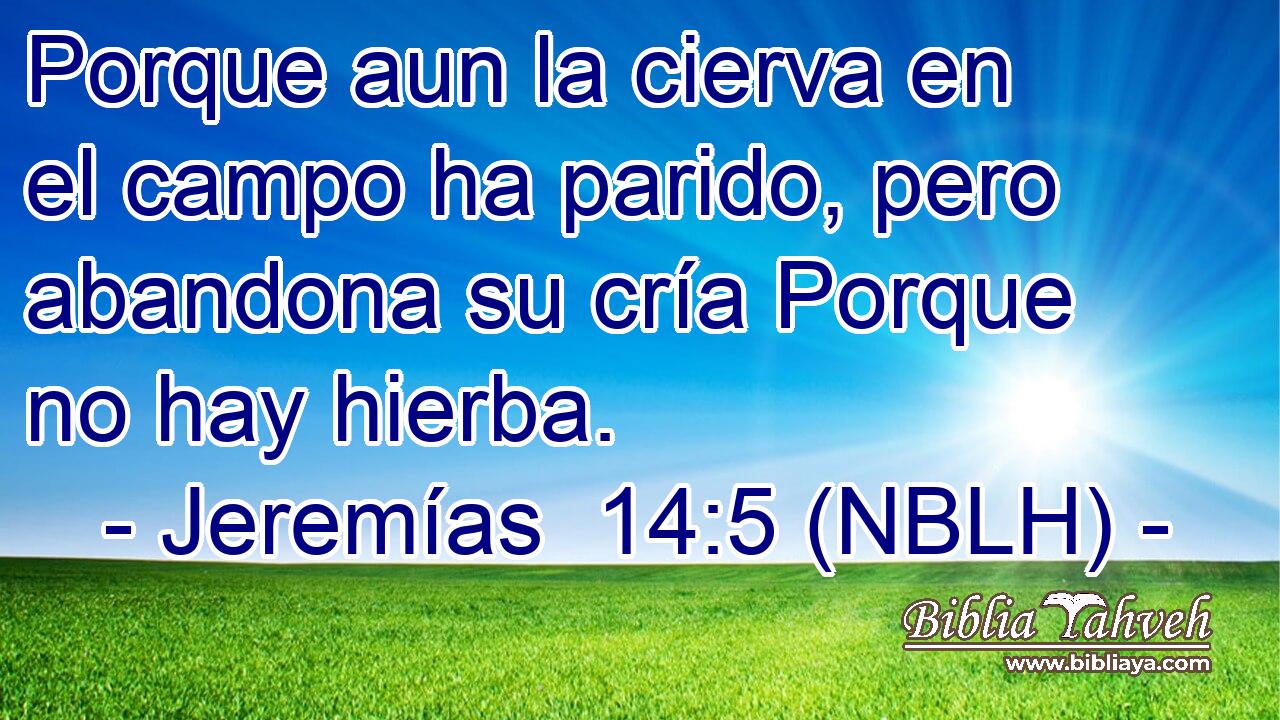  Porque aun la cierva en el campo ha parido, pero abandona su cría Porque no hay hierba. 