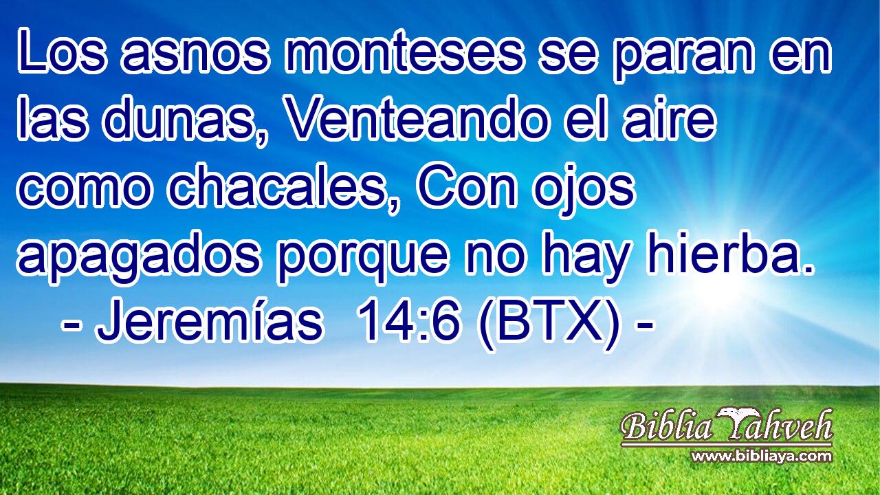 Los asnos monteses se paran en las dunas, Venteando el aire como chacales, Con ojos apagados porque no hay hierba.