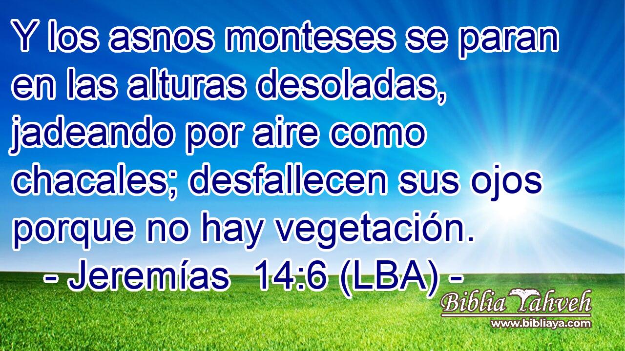 Y los asnos monteses se paran en las alturas desoladas, jadeando por aire como chacales; desfallecen sus ojos porque no hay vegetación.